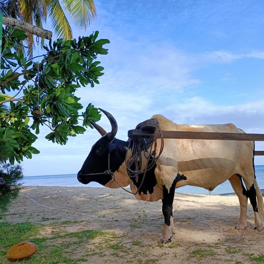 พรินเซสเซ โบรา ลอดจ์ สปา Hotel Ile Sainte-Marie ภายนอก รูปภาพ